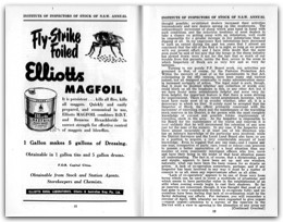 1952 Page 018 019